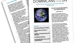 newsletter-dominican-un copy